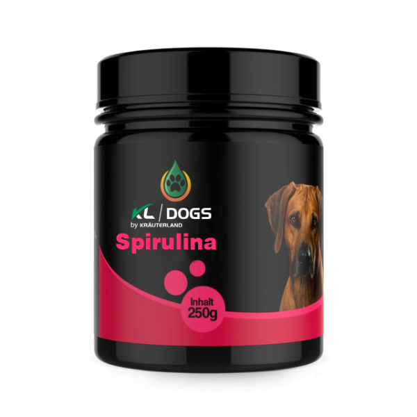 Spirulina für Hunde | BARF | Hunde | | Kräuterland.de