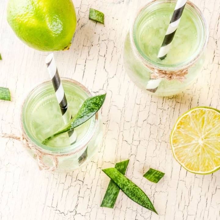 Erfrischender Aloe Vera-Zitronen-Detox Saft 